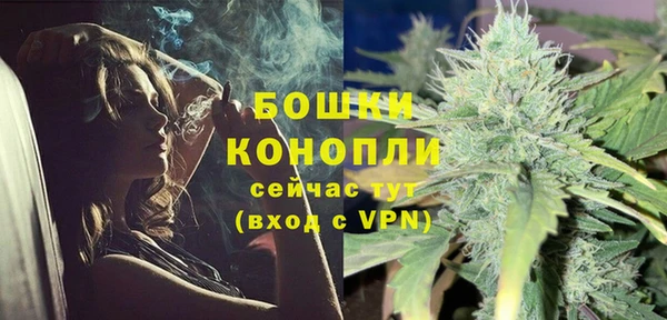 mdpv Вяземский