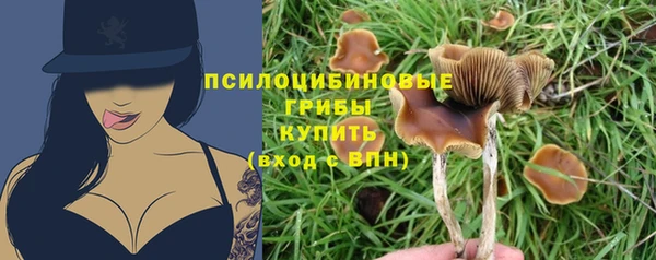мескалин Горняк