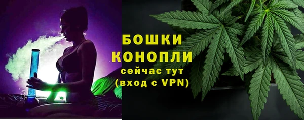 mdpv Вяземский