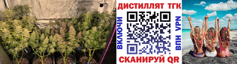 Дистиллят ТГК гашишное масло  Котельниково 