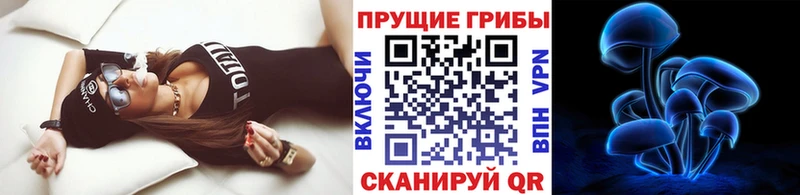 Галлюциногенные грибы мухоморы  купить наркотики сайты  Котельниково 