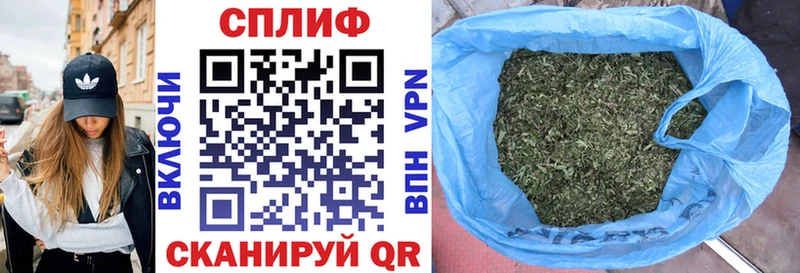 Шишки марихуана гибрид купить наркоту Котельниково